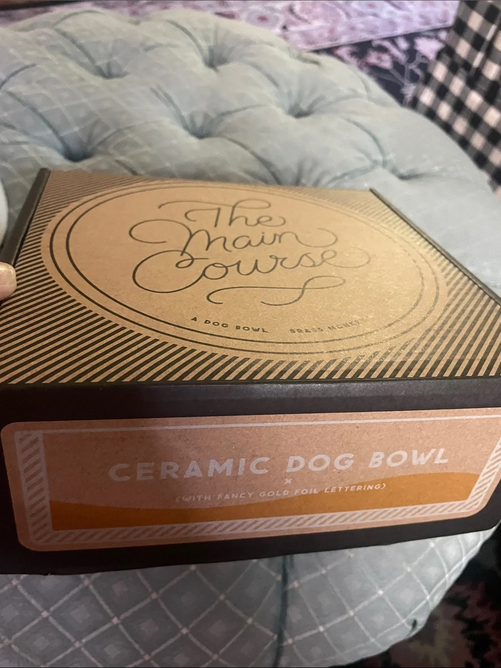 White Ceramic Dog Bowl in White with Gold Script by